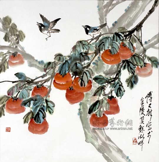 白脸山雀柿子树