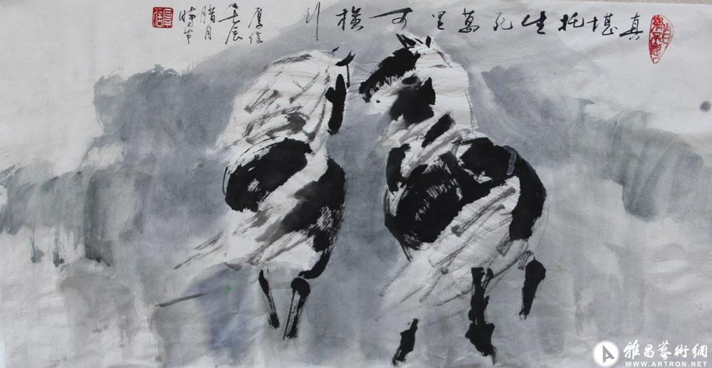 两匹马的背影