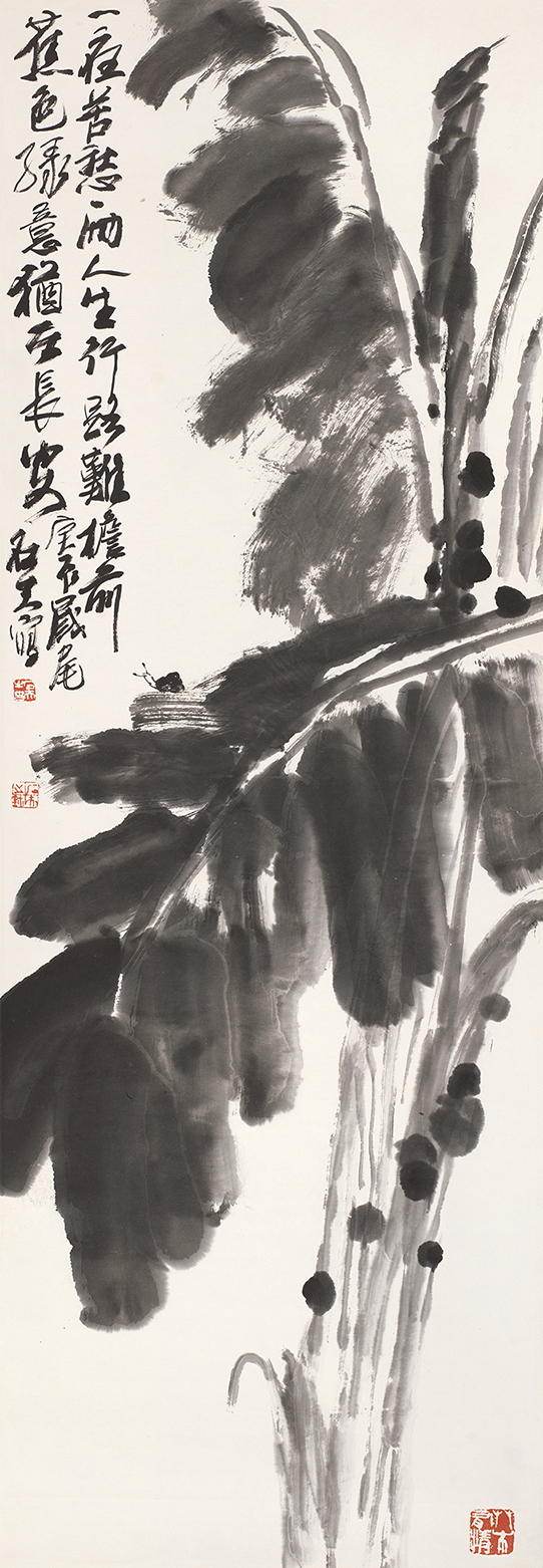 芭蕉