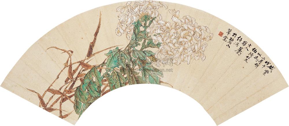 0189 菊花 扇片 设色纸本