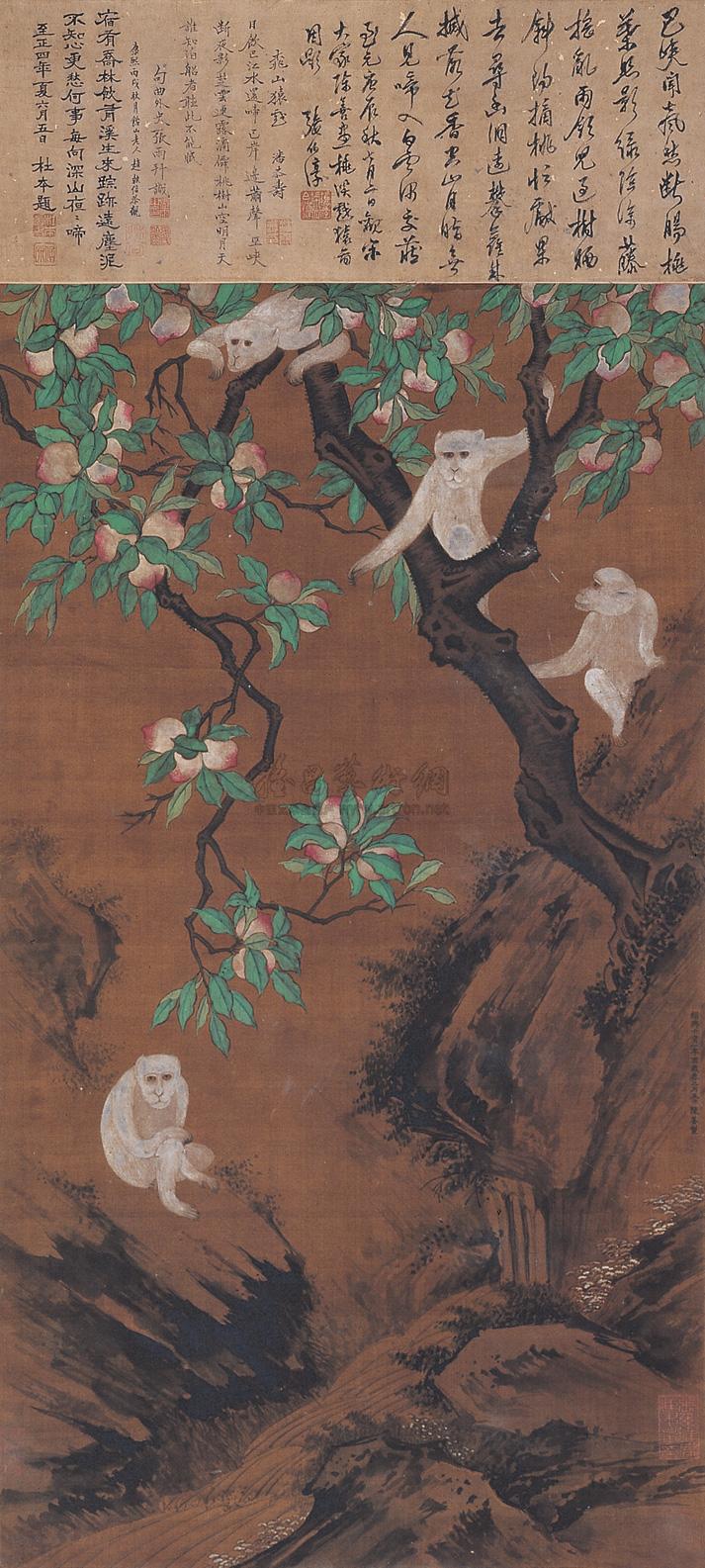0279 绢本桃实白猿图 立轴