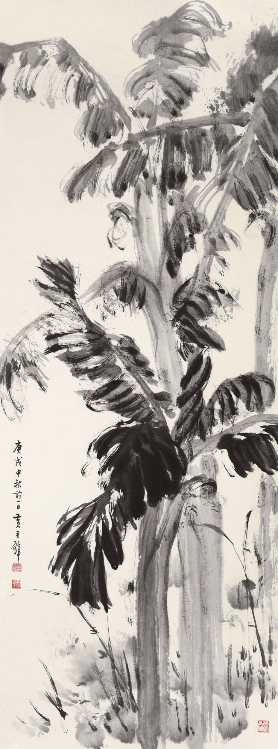 0743 芭蕉树 镜片 水墨纸本