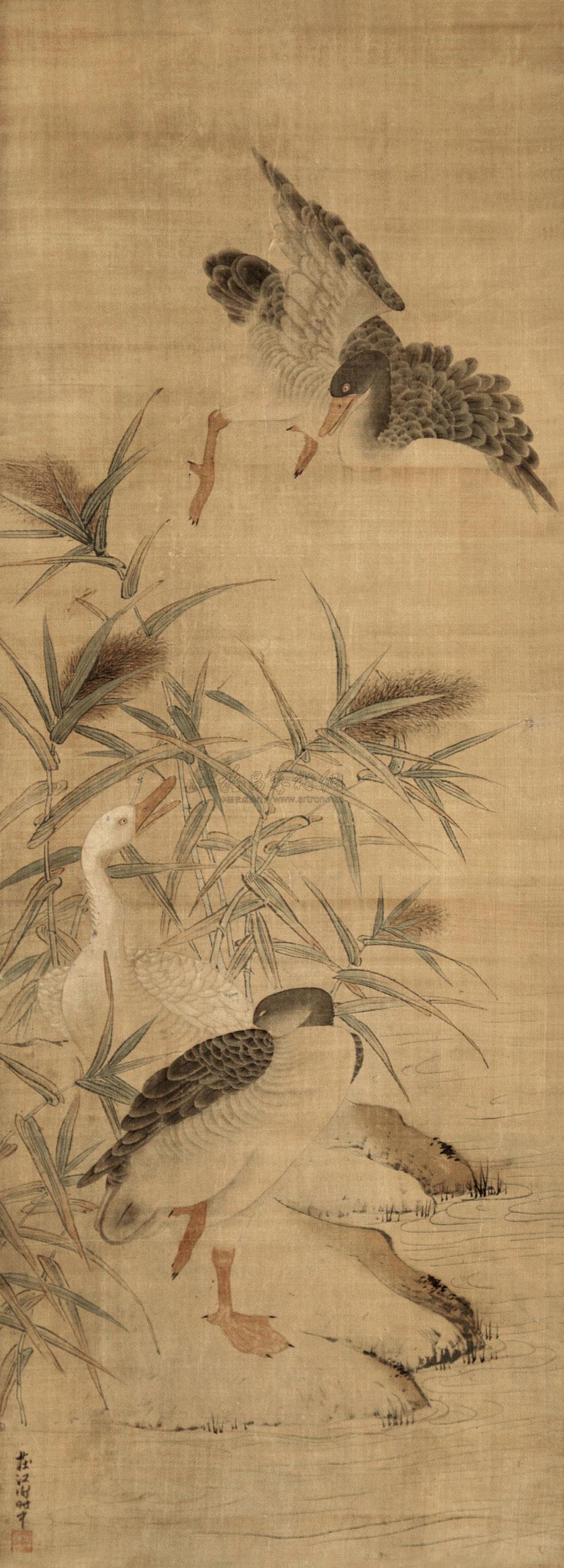 0363 芦雁图 立轴 设色纸本