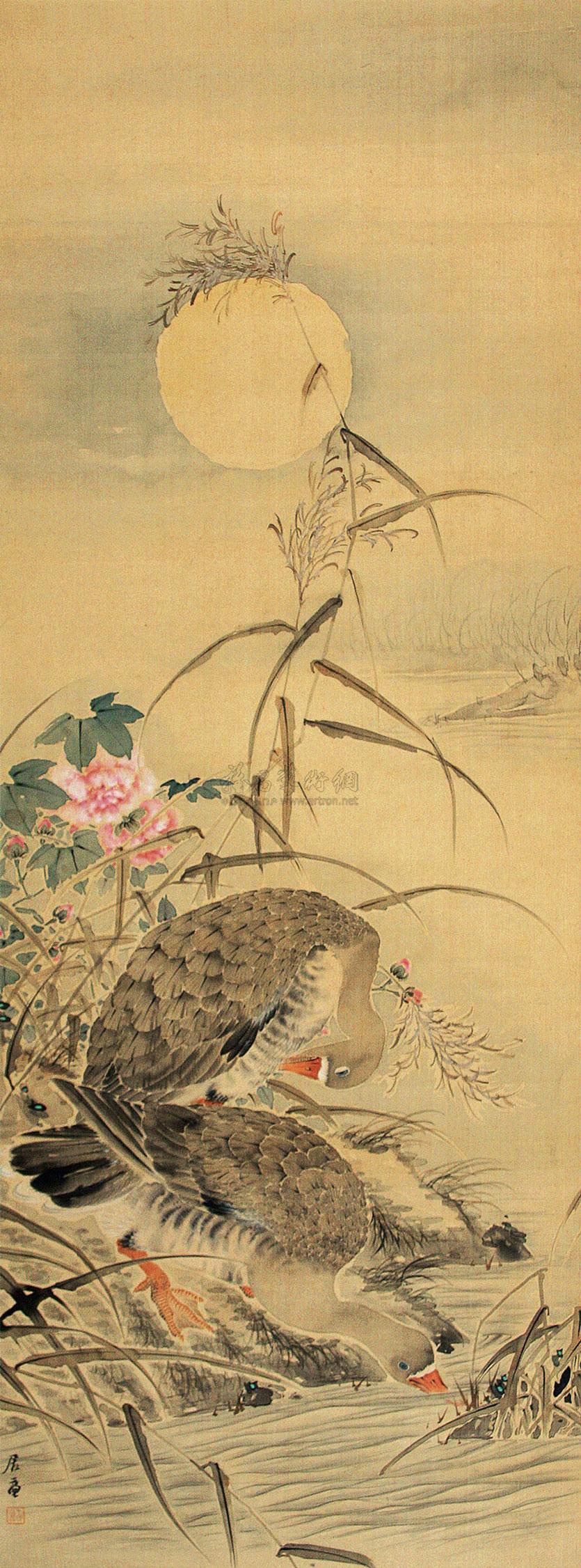 0914 芦雁图 立轴 设色绢本