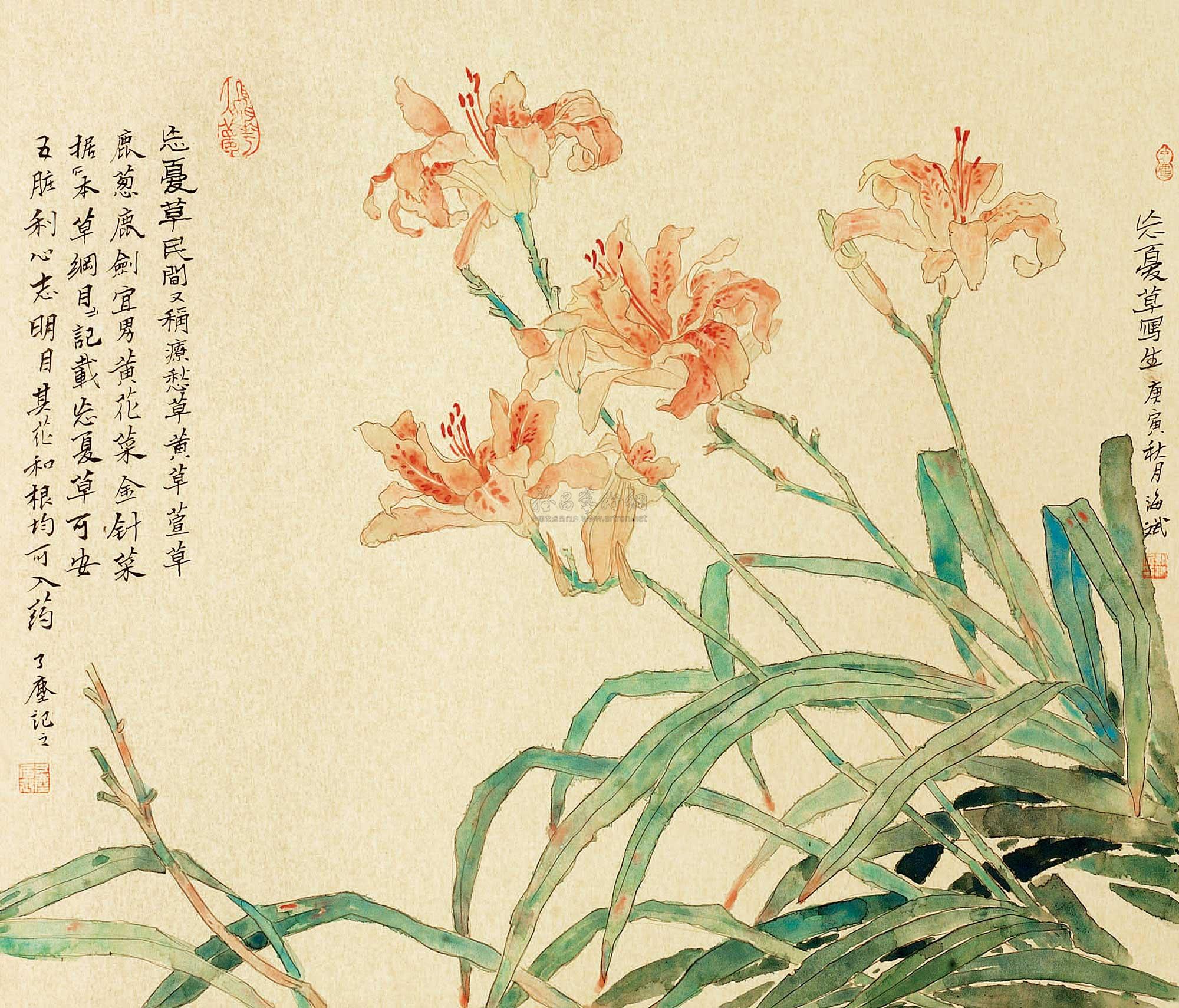 1123 2011年作 忘忧草 镜心 设色纸本