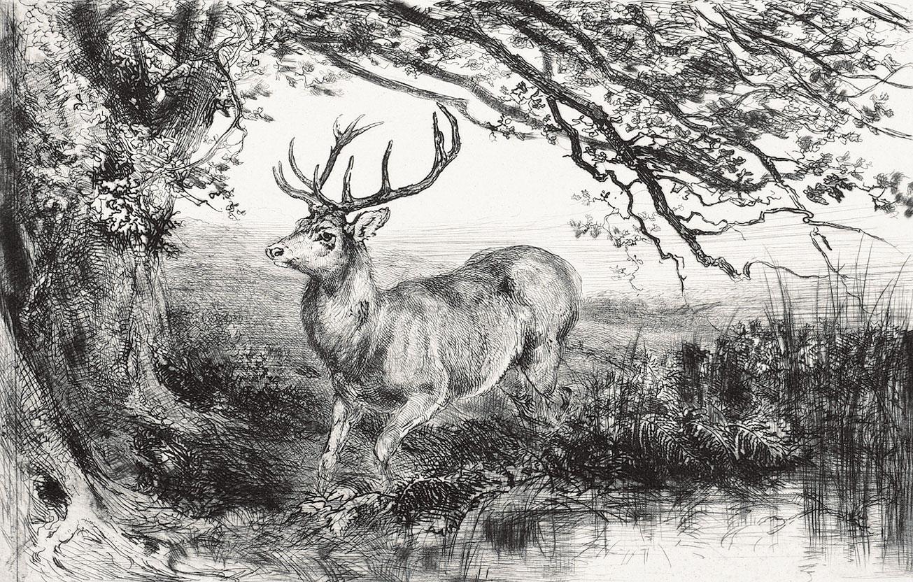 0665 1885年作 雄鹿与树 镜片 纸本
