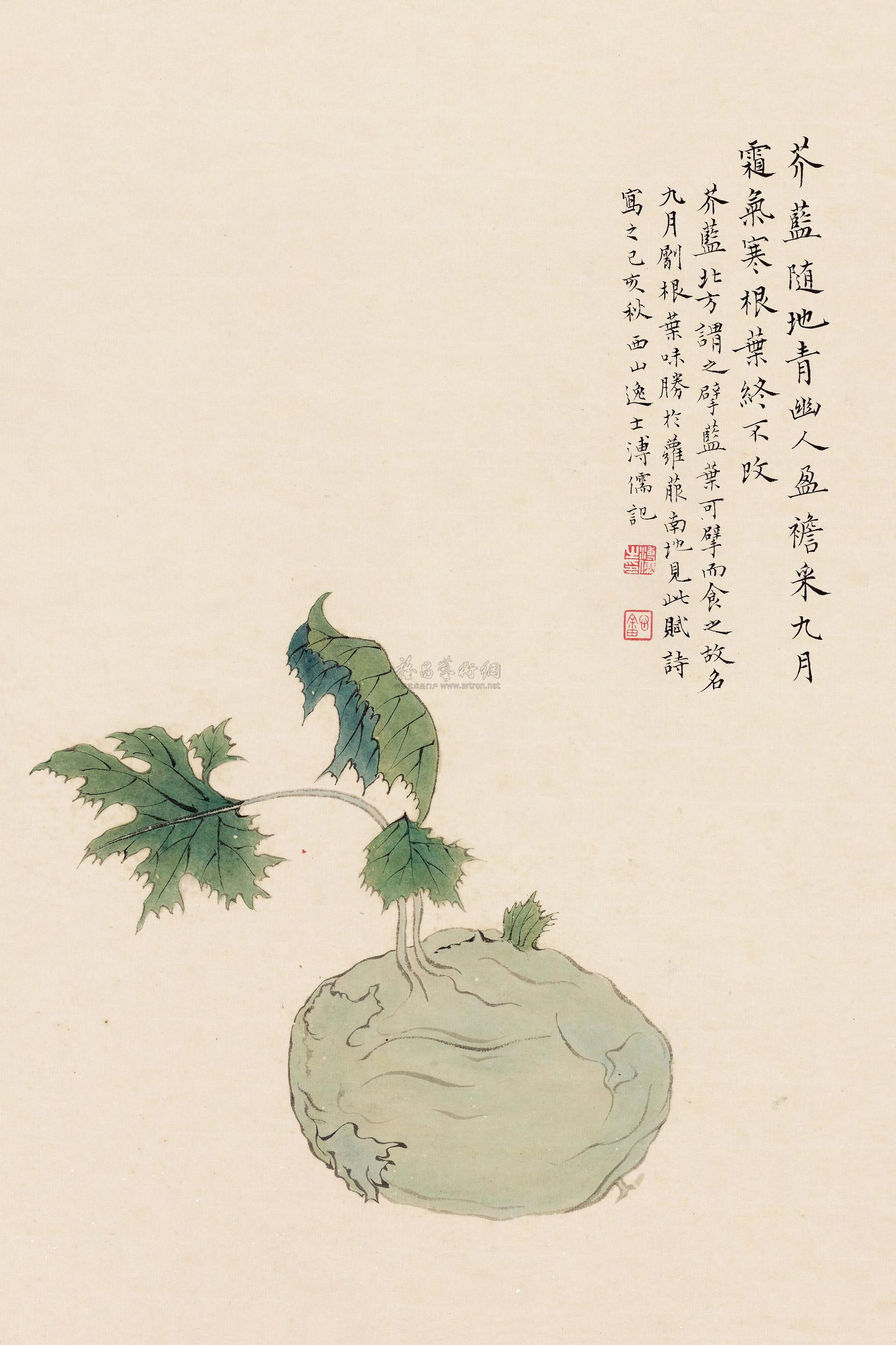 *0868 芥蓝 镜心 设色纸本