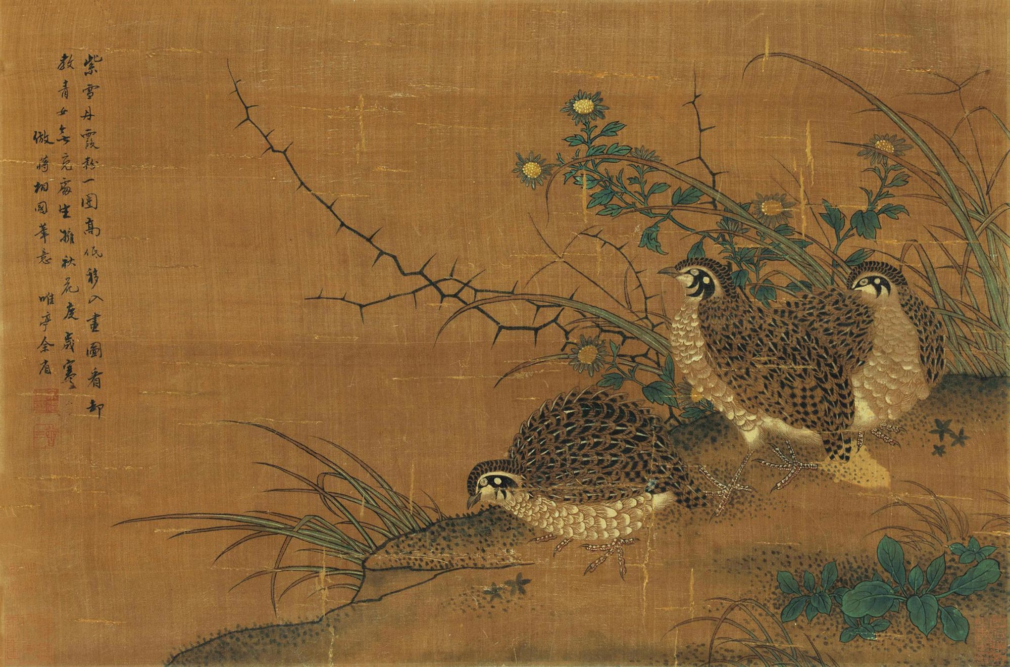 5032 鹌鹑 立轴 设色绢本