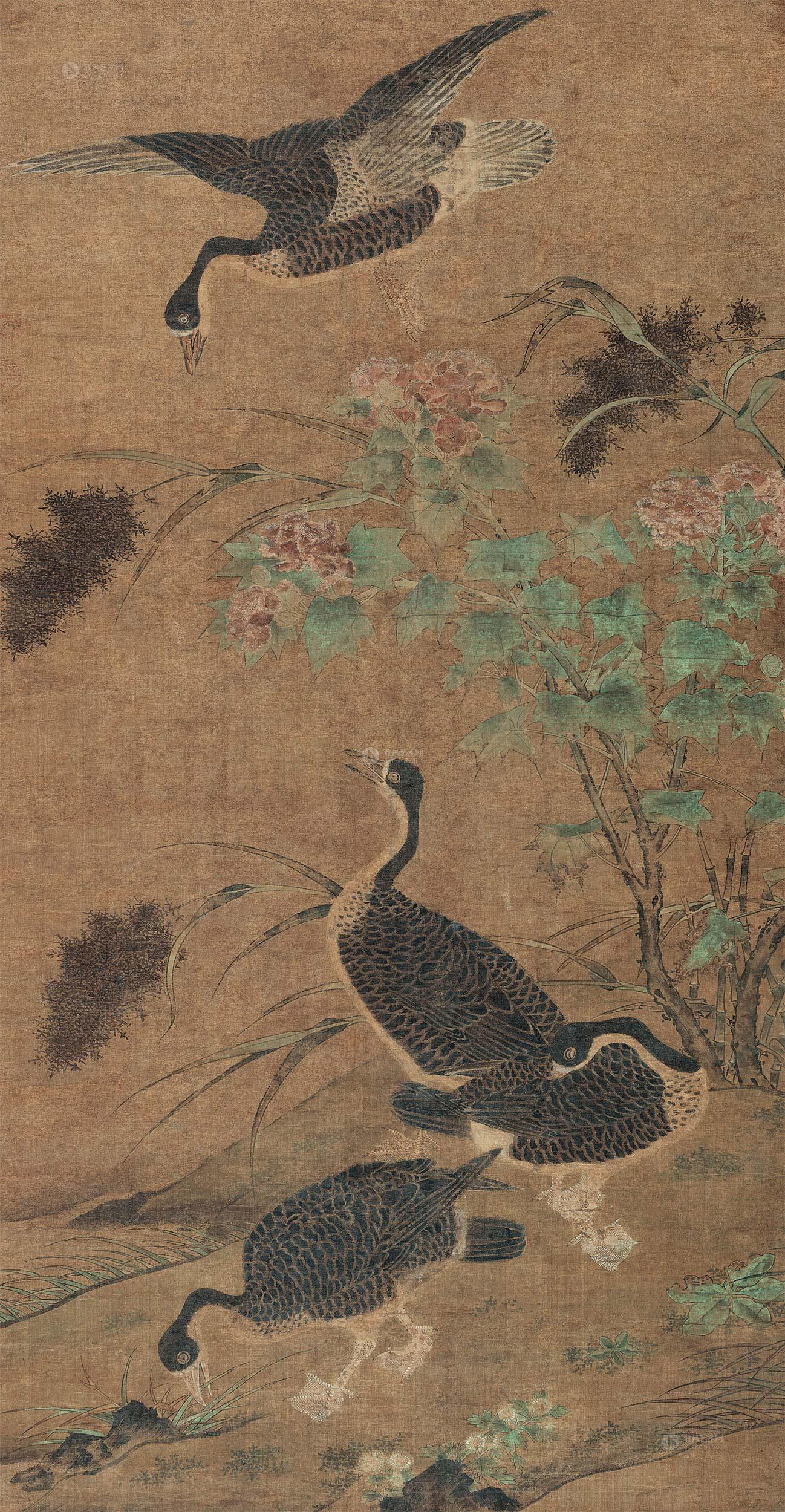 *0563 芦雁图 立轴 设色绢本
