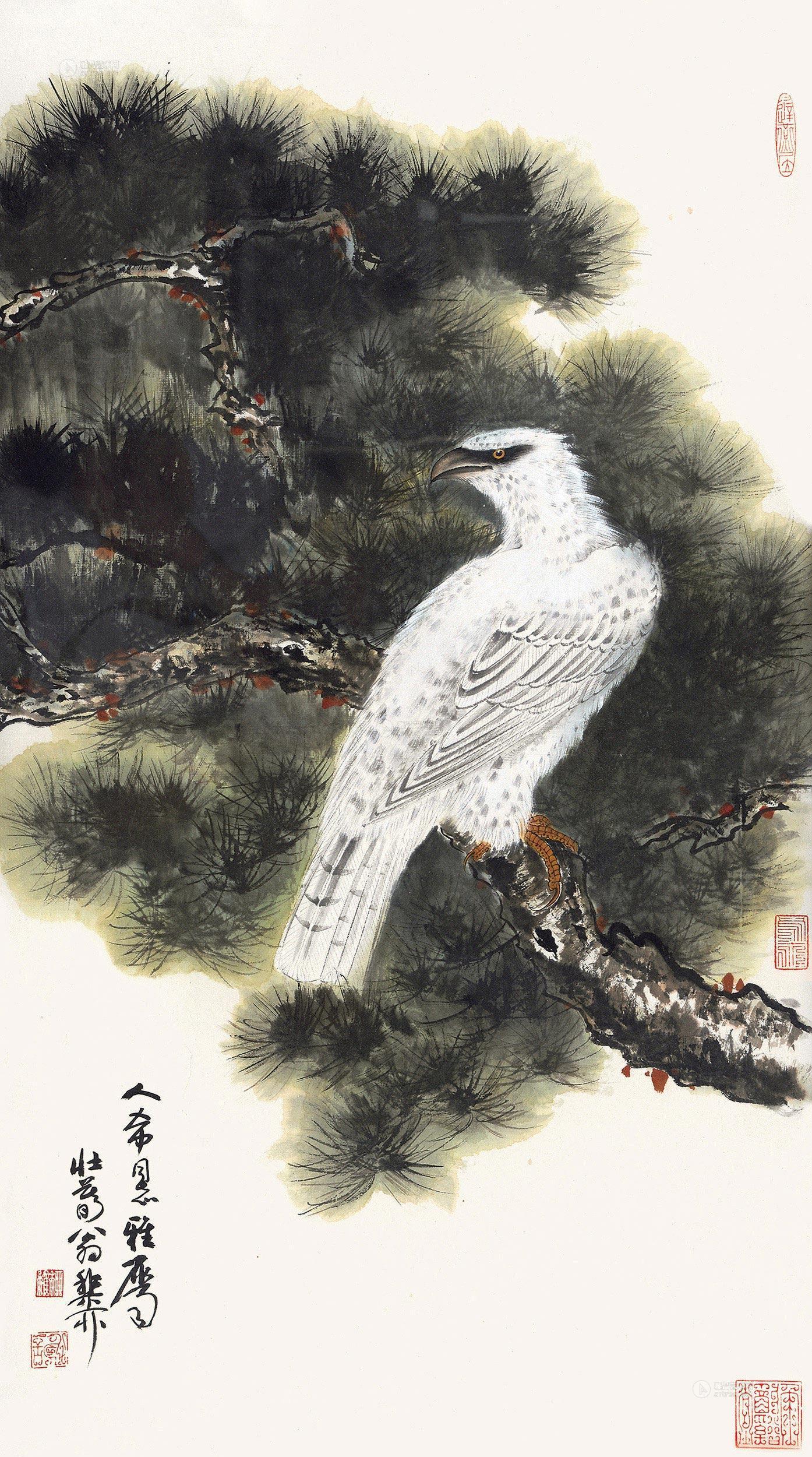 0180 雪鹰苍松图 镜片 设色纸本