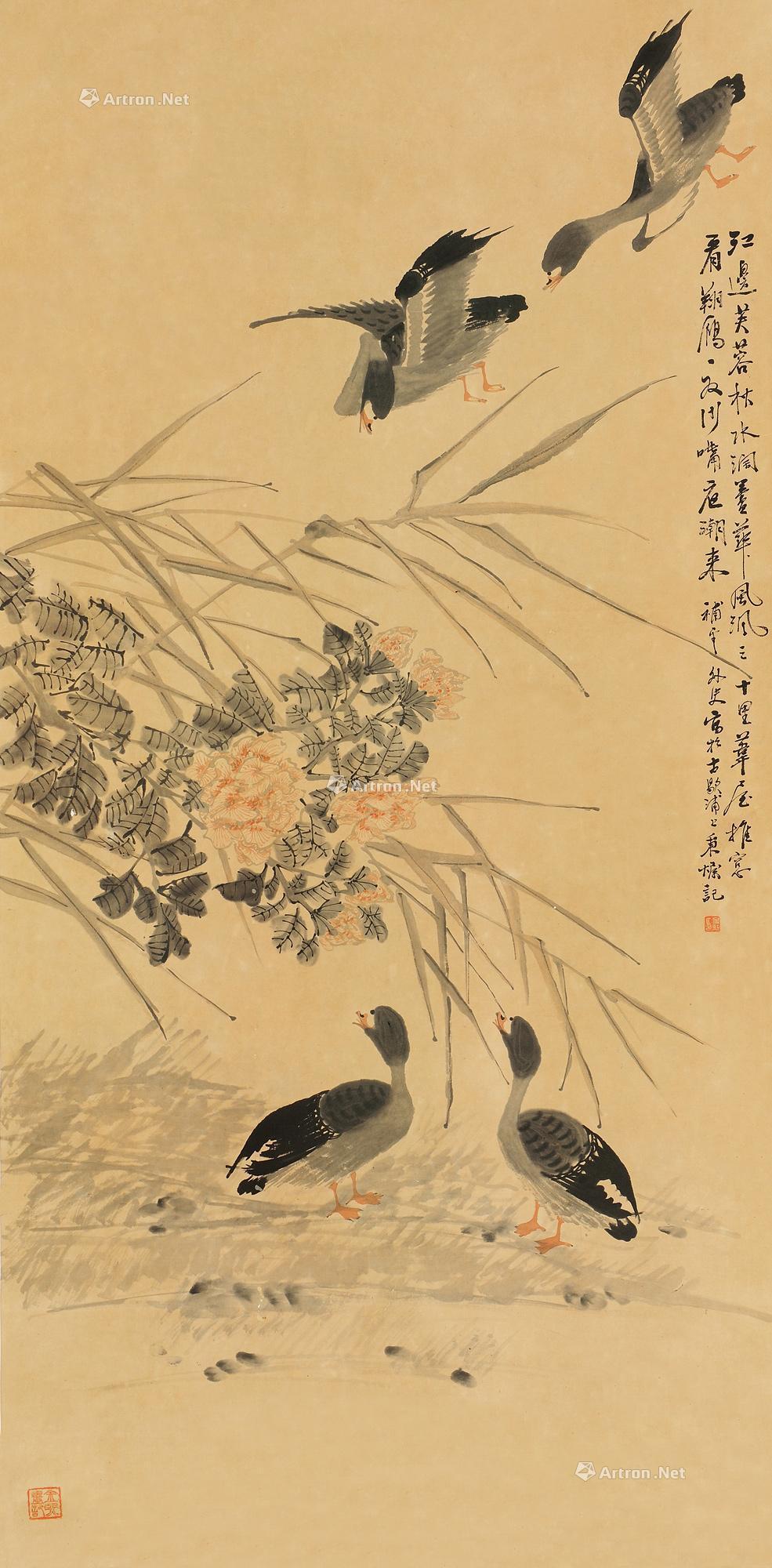 0818 芦雁图 立轴 设色纸本