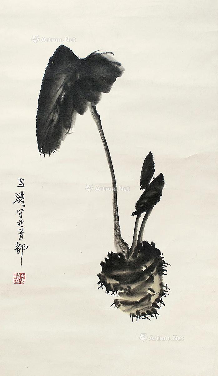 0348 芋头 立轴 纸本
