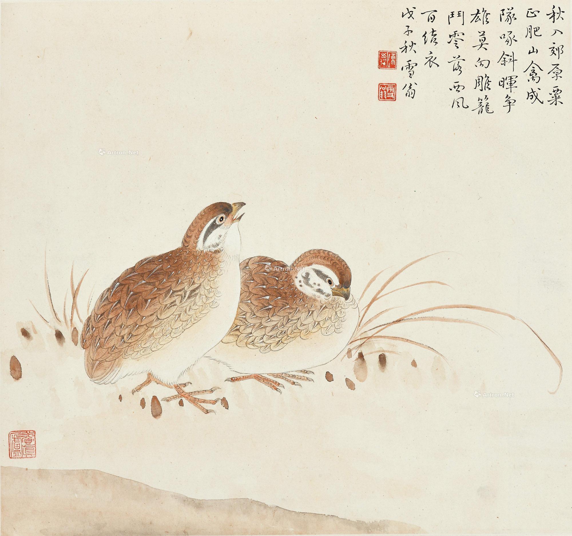 1543 1948年作 鹌鹑 镜框 设色纸本