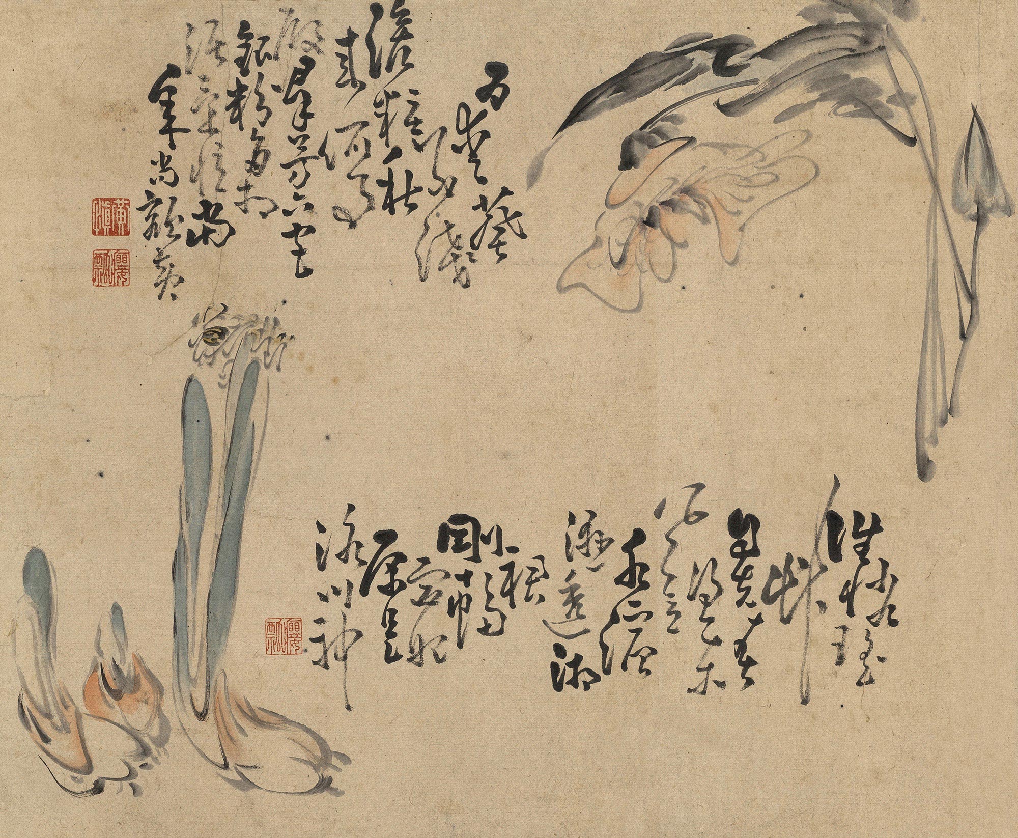 0550 水仙 立轴 设色纸本