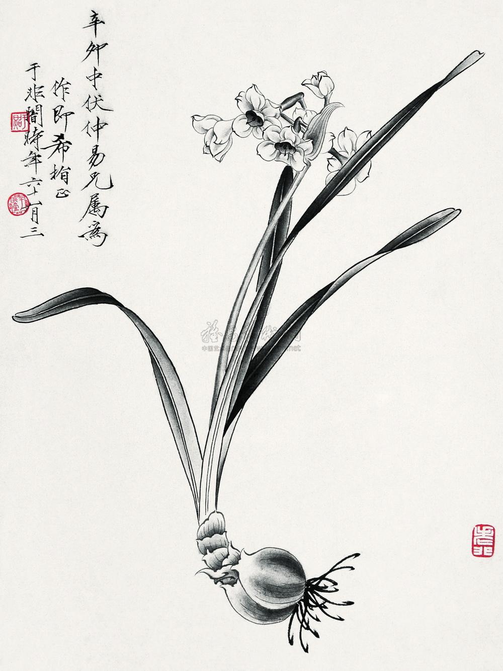 0298 水仙 镜心 水墨纸本