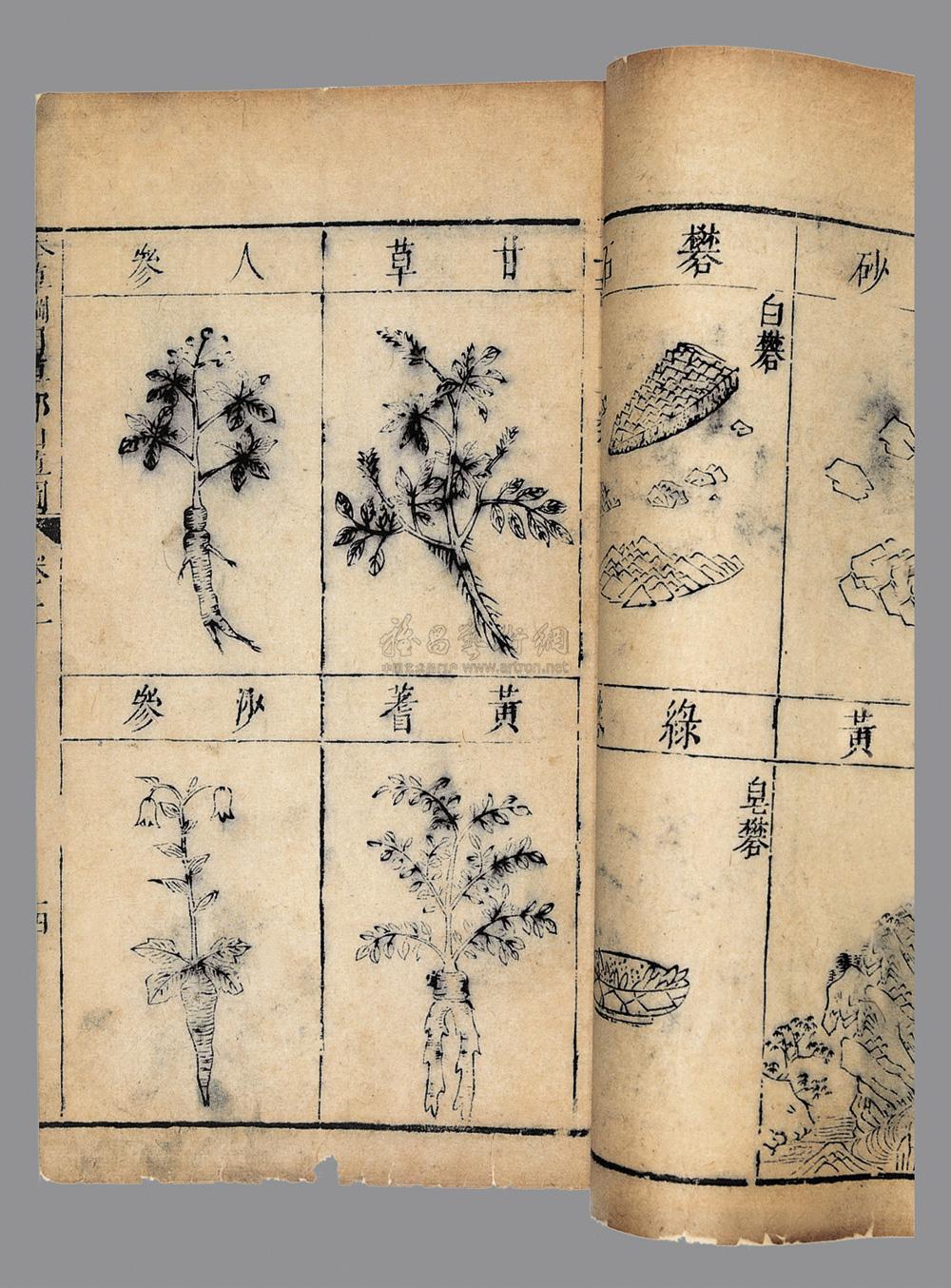0145 本草纲目存图三卷