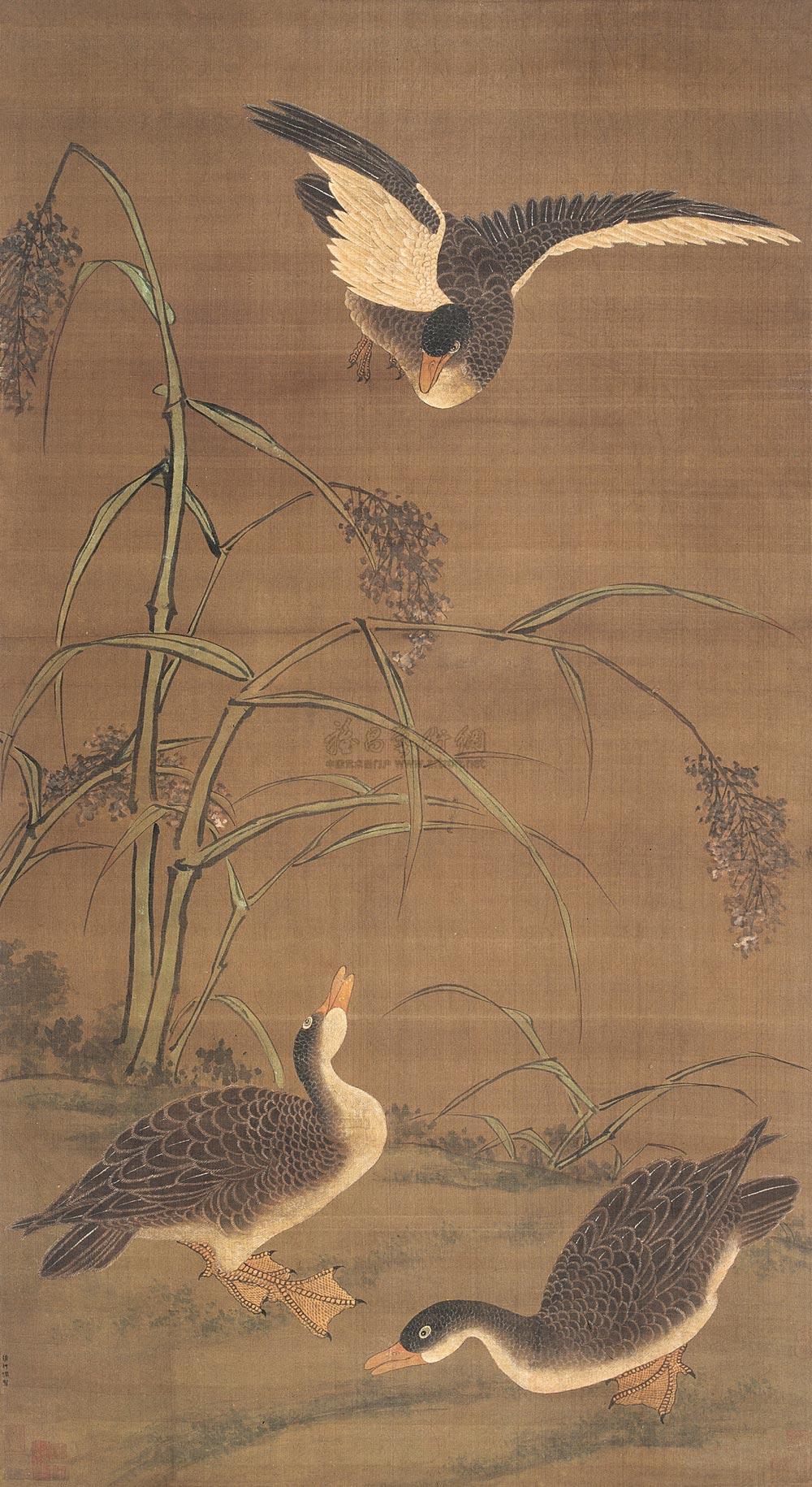 0084 芦雁图 立轴 绢本