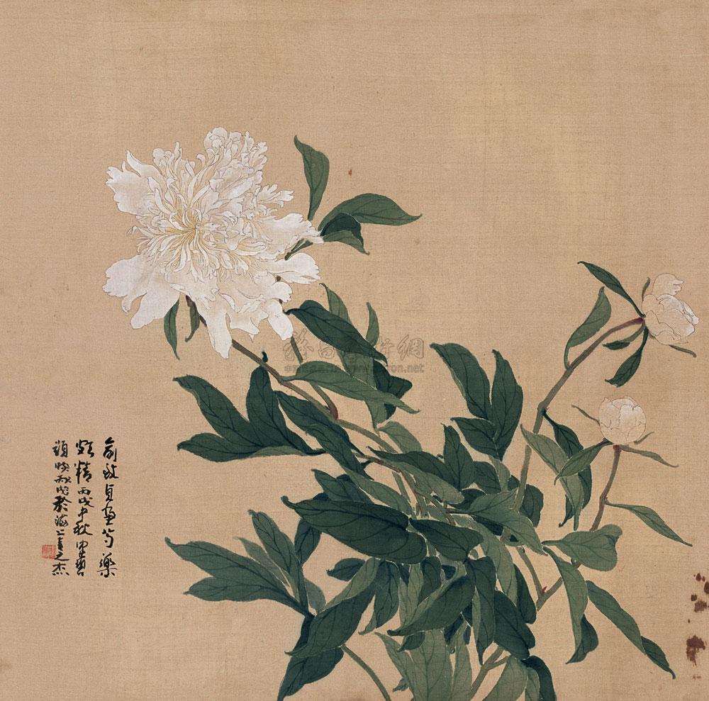 0274芍药花镜心设色绢本