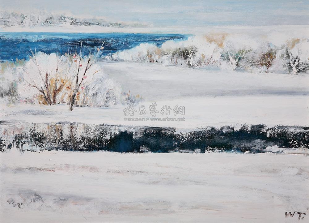 0580雪之韵布面油画