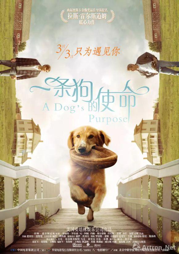 《一条狗的使命》电影海报