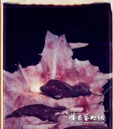 图片版权归原作者所有