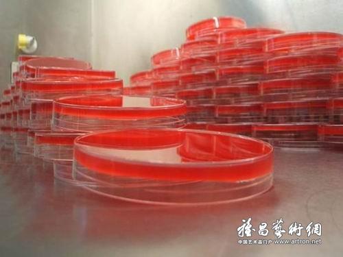 图片版权归原作者所有