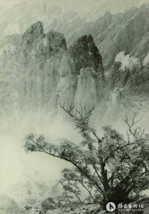 【专稿】亚洲摄影之父郎静山134幅作品捐赠国家