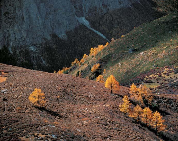 吕玲珑作品：秋天的山谷