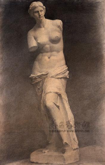 维纳斯石膏像写生  Venus