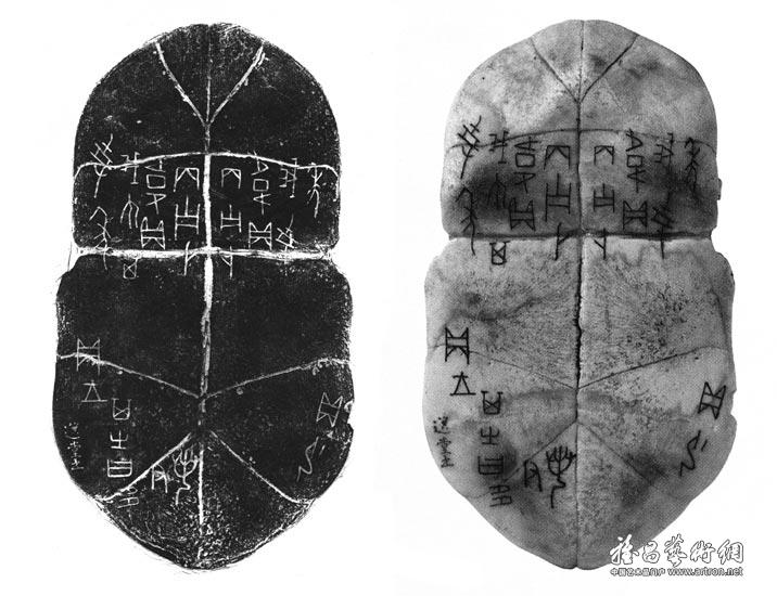 书甲骨卜辞龟甲<br>Oracle Bone with Divinatory Inscriptions