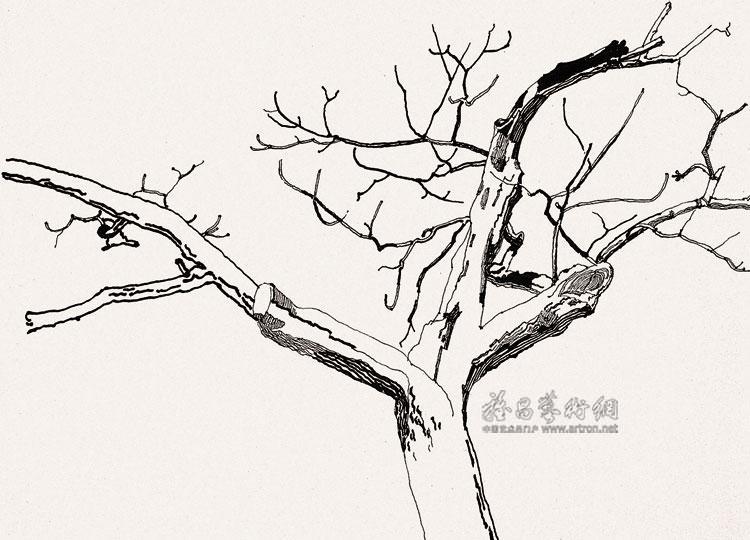 树干写生<br>^_^TREE TRUNK IN SKETCH