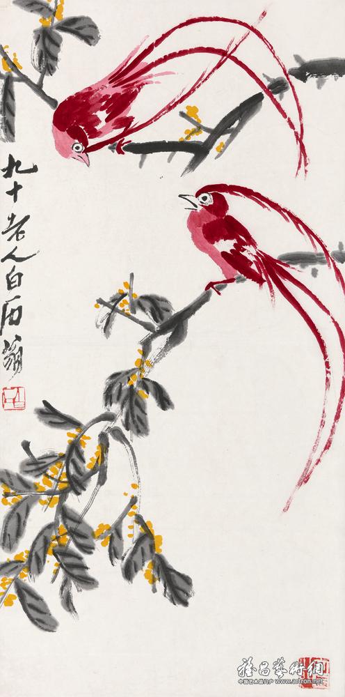 吴悦石绶带鸟图片