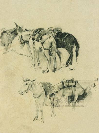 运输的骡子^_^<br>Mules and Horses for Transportation