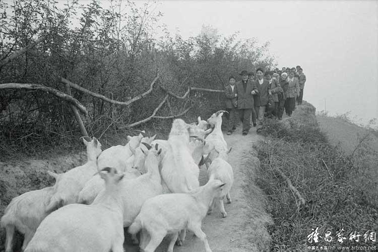 杨延康作品：送主教下山的队伍与牧归的羊群在山道上相遇了