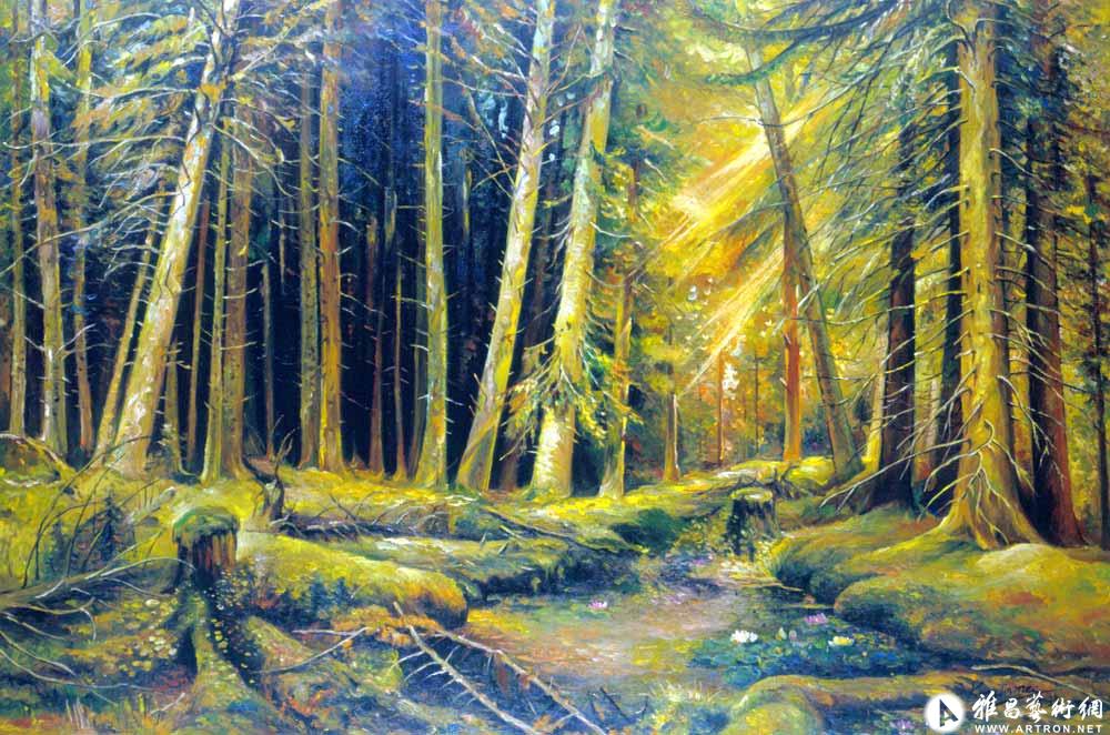 康金梅作品：森林之光