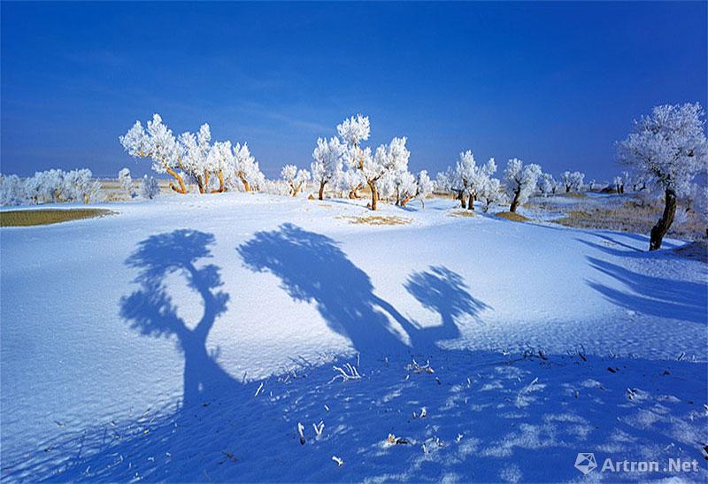 王汉冰作品：《大漠胡杨》彩色摄影作品精选 24