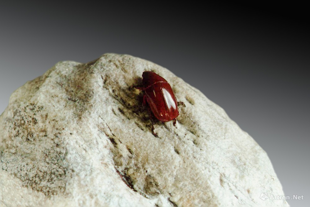 石雕展89-甲虫