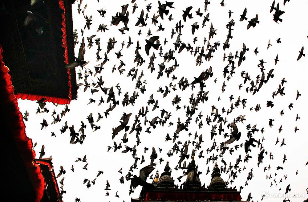 王卫光作品：加德满都杜巴广场的鸽群