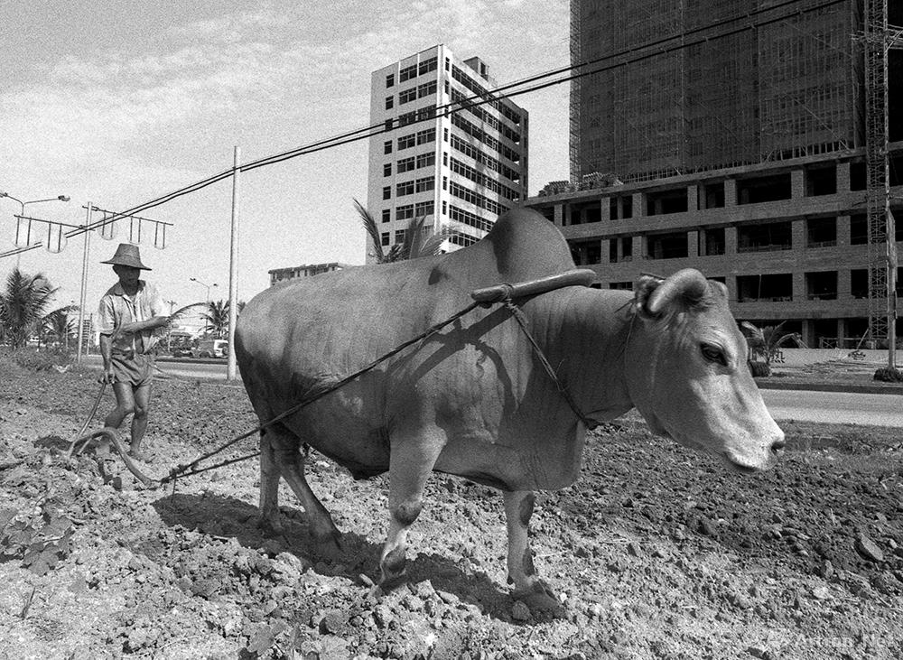 黄一鸣作品：1989年，海口市龙昆路上最后的一片田地。建省之初的残破景象逐渐消失了。