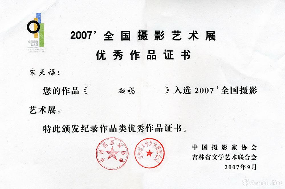 2007年22届国展优秀奖《凝视》
