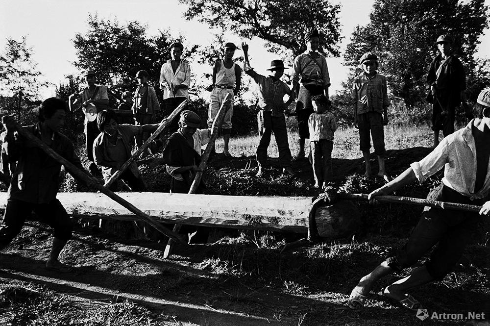 王立力作品：阿昌族群众正在把从山上砍来的青冈木的树杆拖回寨子