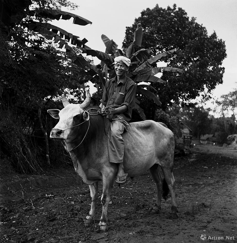 王立力作品：靠运输致富的傣族群众老恩，骑在牛背上显得十分惬意