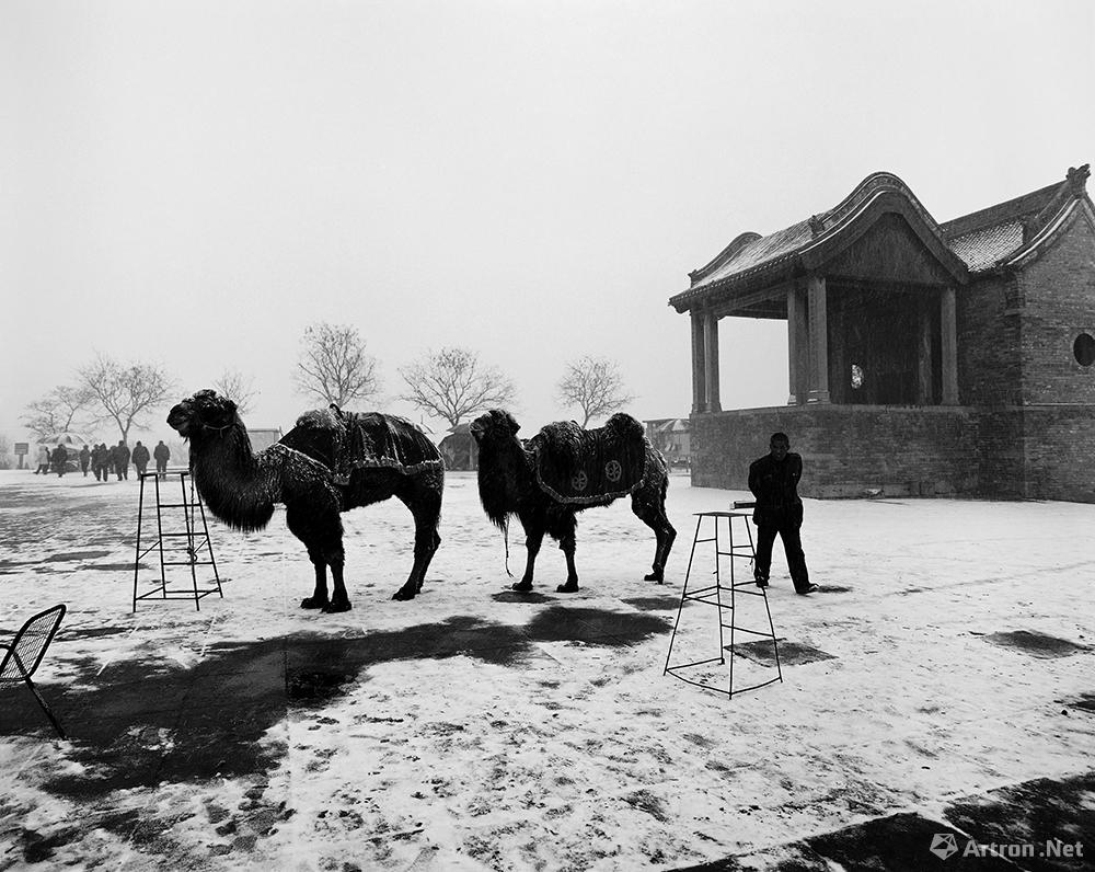 王立力作品：在古庙前的雪地上，行人从等候为顾客拍照留念的骆驼前经过
