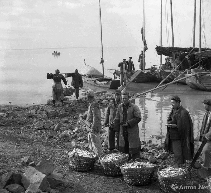晓庄作品：1953年 高邮县南湖区合作社运输船运鲜鱼进集市