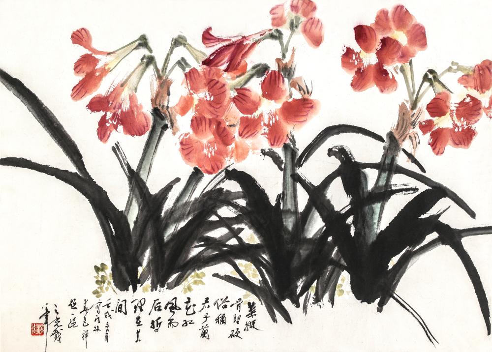 君子兰