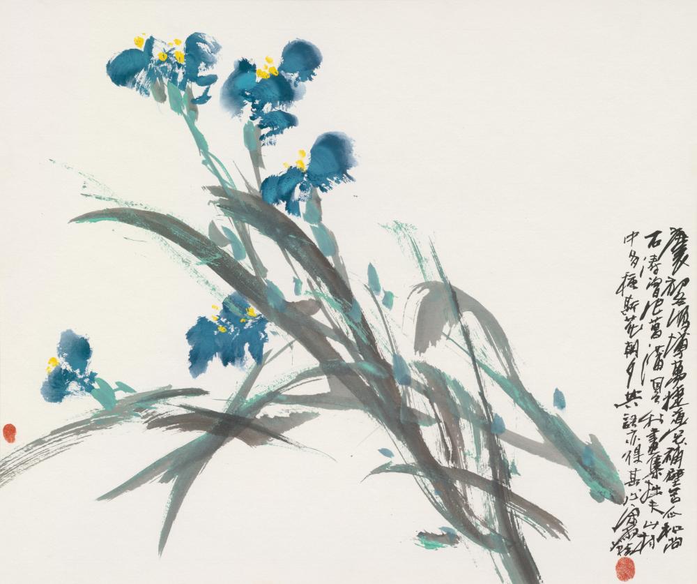 兰花