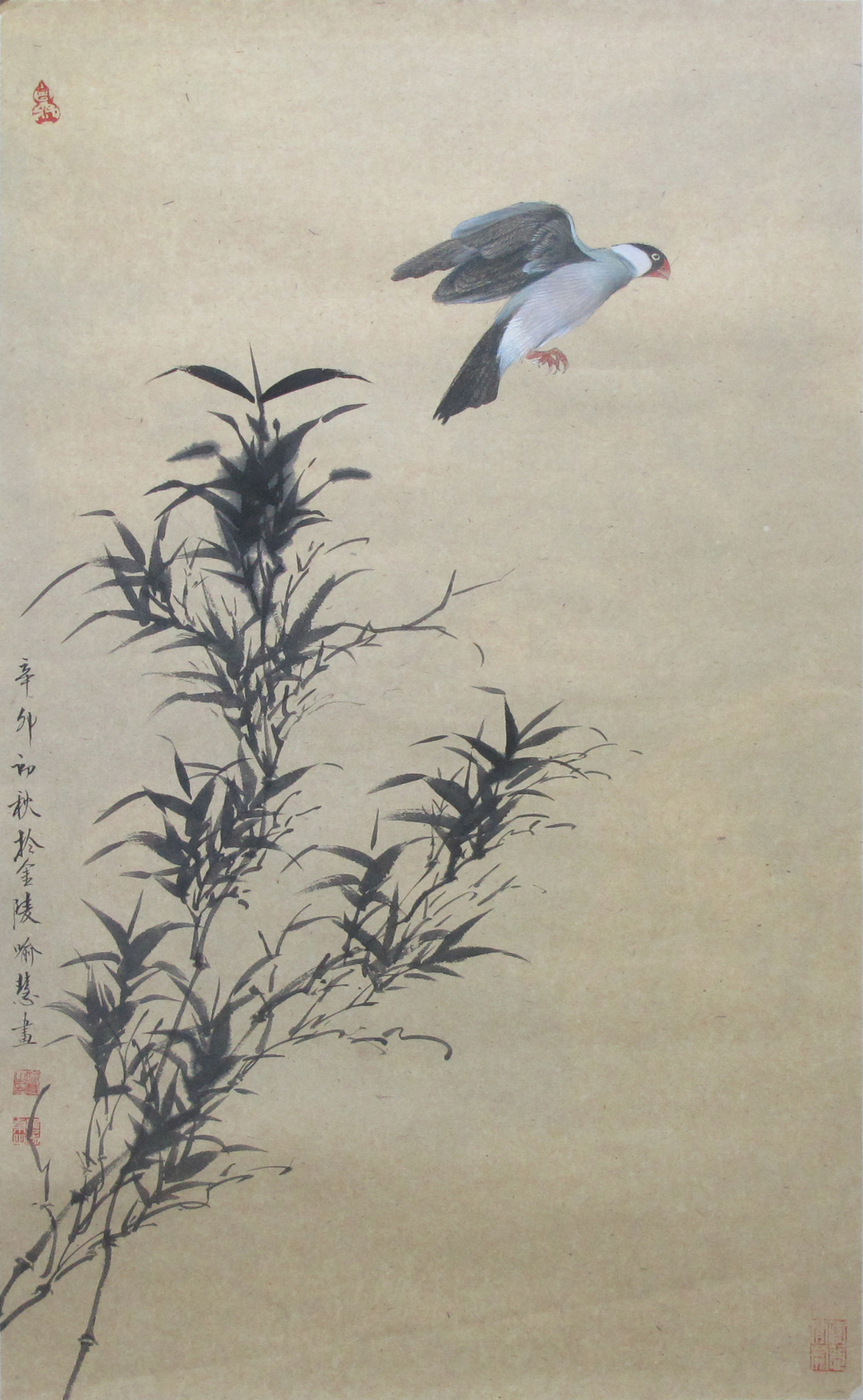 竹子鸟画