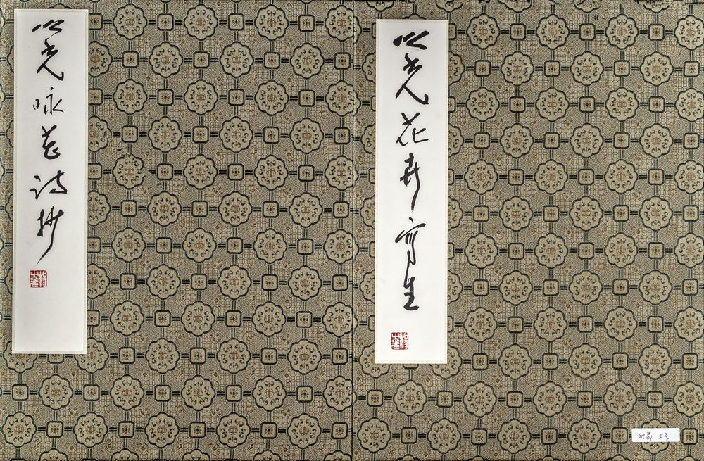 之光花卉写生及书法