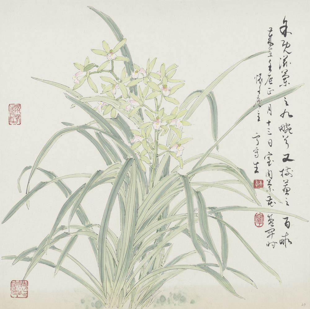 九畹芝兰