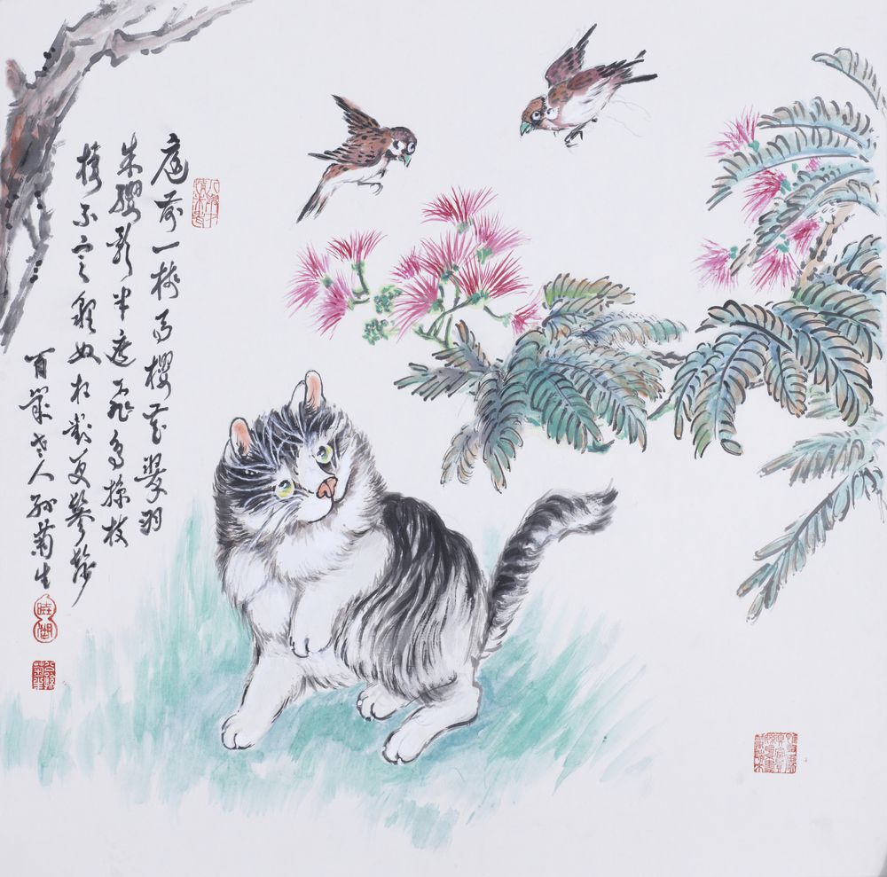 樱花翠羽猫戏图